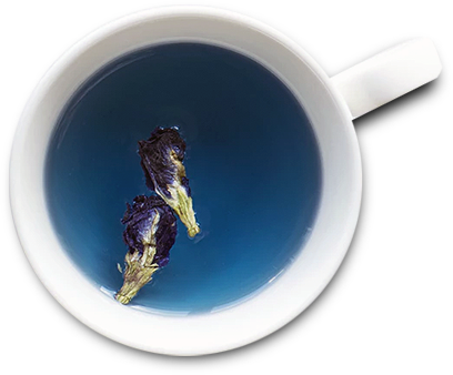 butterfly-tea.png