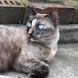 singapore cooking class, singapore cooking lesson, learn, how to cook singapore dishes, singapore cookery class, singapore cookery lessons, nonya cooking class, how to, malay cooking class, chinese cooking class, indian cooking class, nyonya cooking class, peranakan cooking class, eurasian cooking class, things to do in singapore, best cooking class, singapore, must do, asian cooking class, food, home, house, chef, private cooking class, top 10 cooking class, where do i, tourist, visitor, culinary, cookery magic, cooking classes singapore, cooking class singapore, the best cooking classes in singapore, the ten best singapore cooking classes, learn to cook in singapore, book cooking classes in singapore, cooking classes and lessons in singapore, cooking schools in singapore, culinary school singapore, cookery magic, ruqxana vasanwala, food sorceress, rukhsana corporate cooking class, team building, team bonding, group activity, hands on cooking class, lunch and learn, company, fun things to do in singapore, fun cooking class hen party, bachelor party, children’s cooking class, cooking class for school, ubin cooking class, island cooking class, kampong cooking class