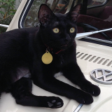 singapore cooking class, singapore cooking lesson, learn, how to cook singapore dishes, singapore cookery class, singapore cookery lessons, nonya cooking class, how to, malay cooking class, chinese cooking class, indian cooking class, nyonya cooking class, peranakan cooking class, eurasian cooking class, things to do in singapore, best cooking class, singapore, must do, asian cooking class, food, home, house, chef, private cooking class, top 10 cooking class, where do i, tourist, visitor, culinary, cookery magic, cooking classes singapore, cooking class singapore, the best cooking classes in singapore, the ten best singapore cooking classes, learn to cook in singapore, book cooking classes in singapore, cooking classes and lessons in singapore, cooking schools in singapore, culinary school singapore, cookery magic, ruqxana vasanwala, food sorceress, rukhsana corporate cooking class, team building, team bonding, group activity, hands on cooking class, lunch and learn, company, fun things to do in singapore, fun cooking class hen party, bachelor party, children’s cooking class, cooking class for school, ubin cooking class, island cooking class, kampong cooking class